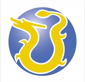 中龍 LOGO